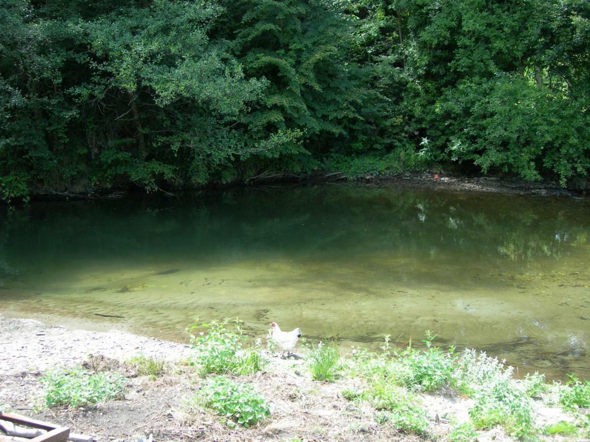 Appartement Les Rives De L'Ariege Luzenac Bagian luar foto