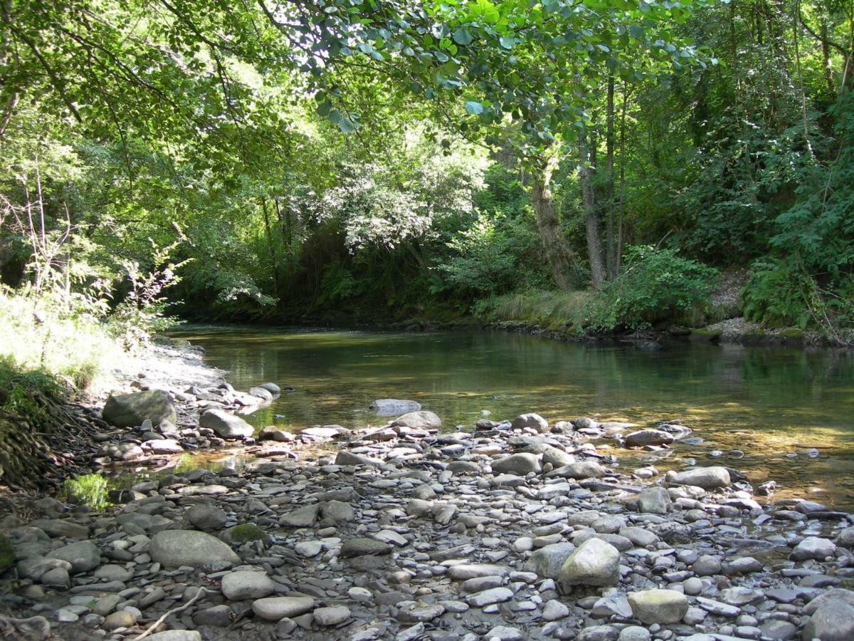 Appartement Les Rives De L'Ariege Luzenac Bagian luar foto